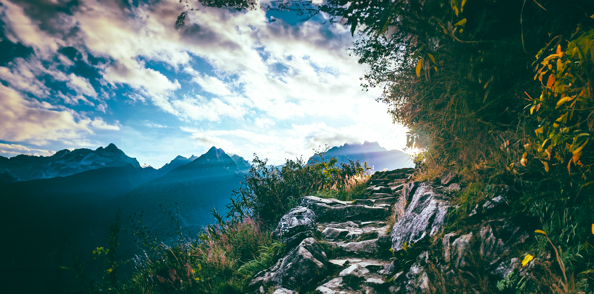 サステナブルな世界を目指す事業を展開