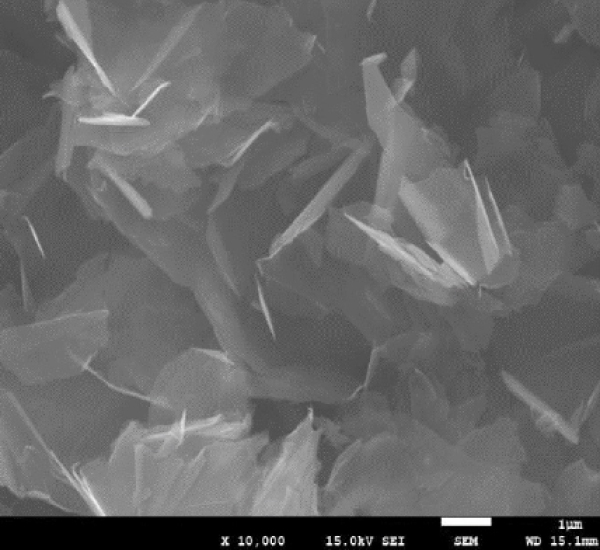 ラマン分光データその1